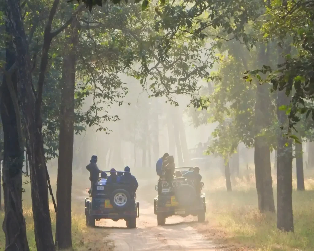 Jeep safari through the lush forests of Kanha National Park in Madhya Pradesh