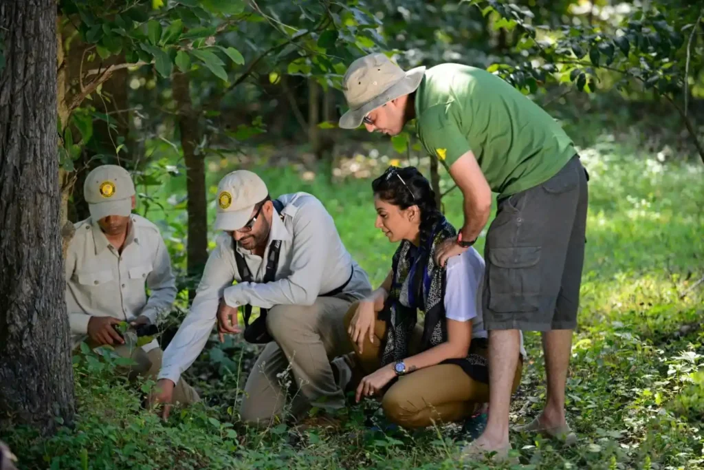 Naturalist guiding visitors on the Khatiya Nature Trail in Kanha Tiger Reserve