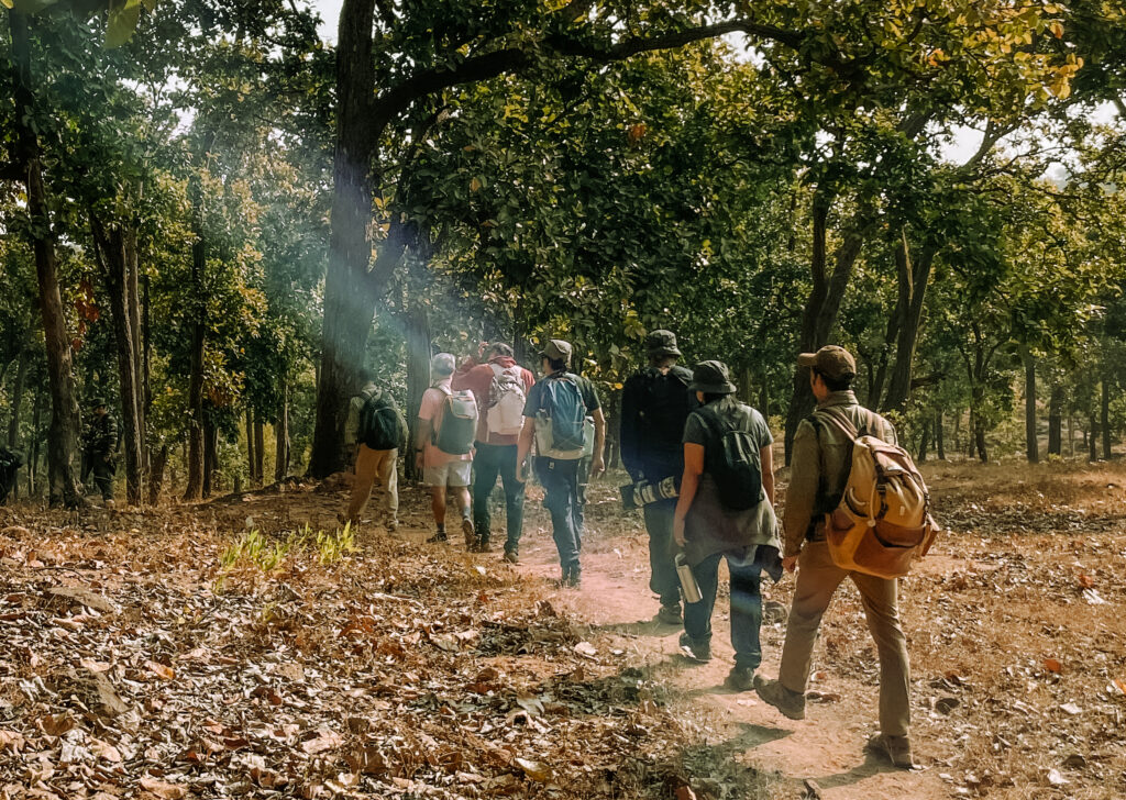 Jungle Trail