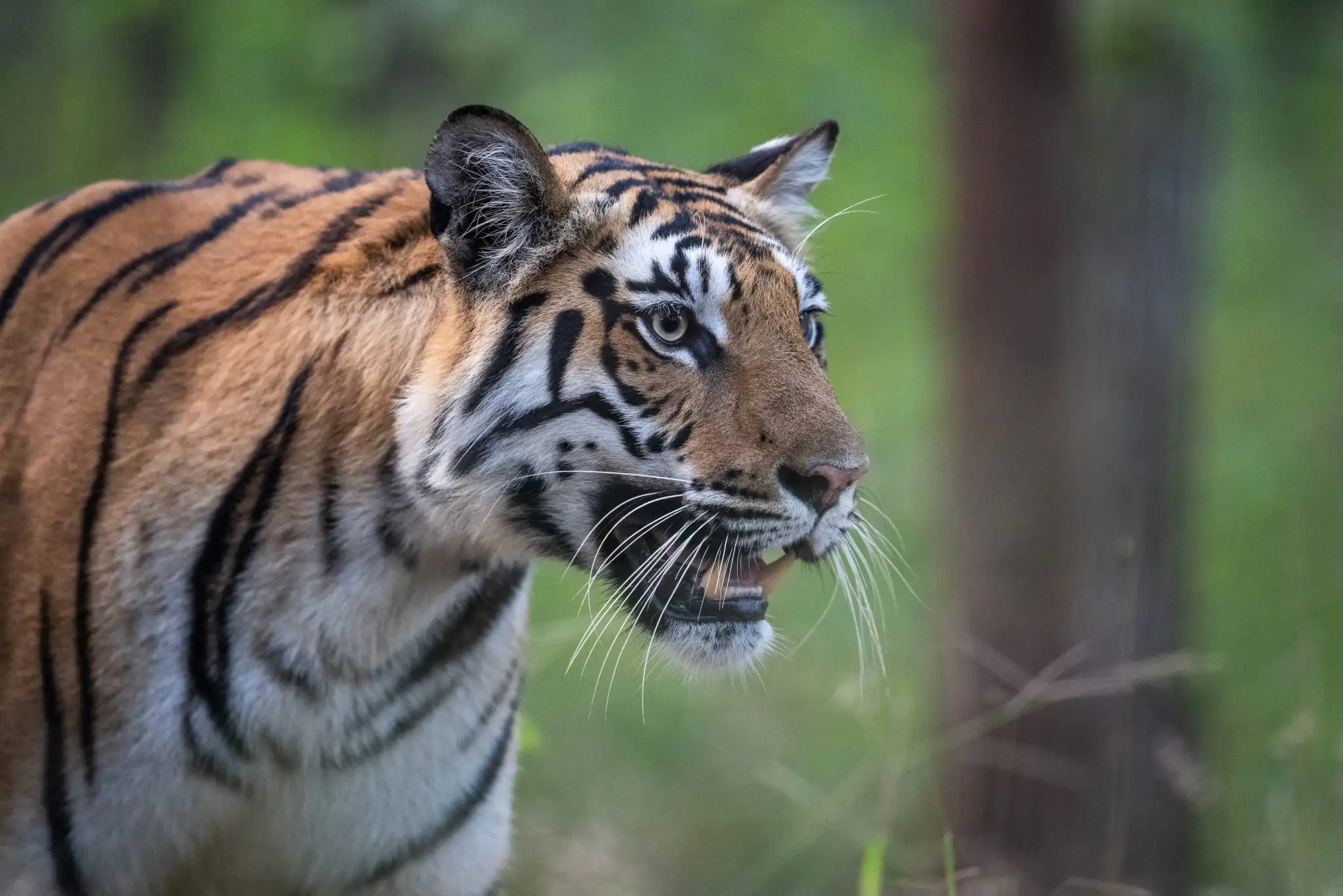 places to visit near kanha national park