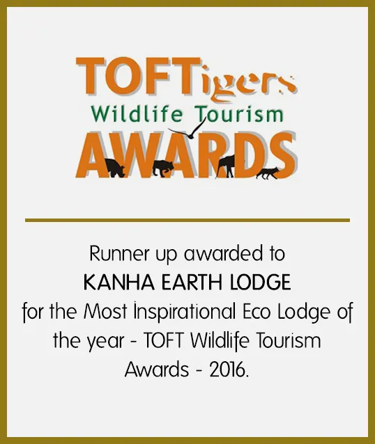 toft wildlife awards