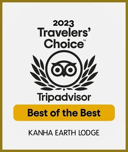 travelers choice