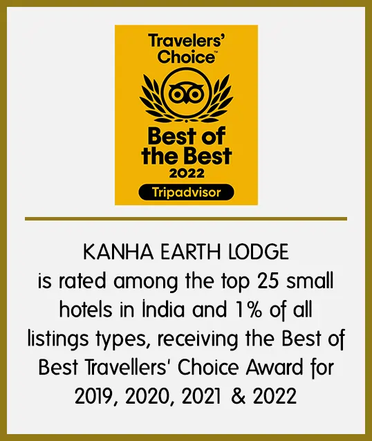 travelers choice best of the best