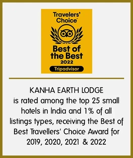 travelers choice best of the best