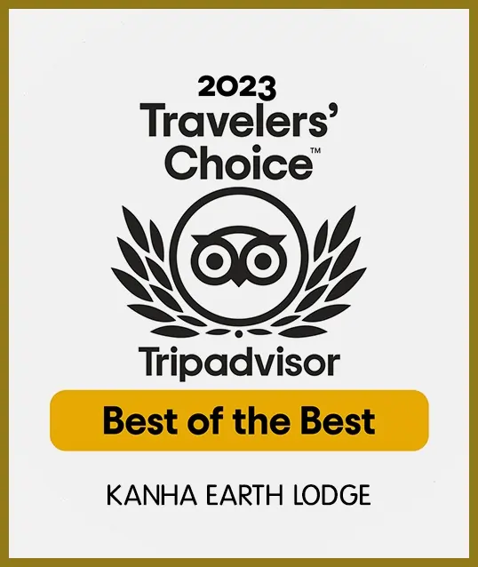 travelers choice