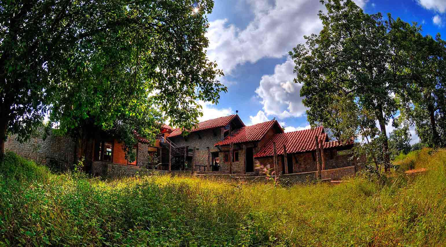 Wildlife Lodge in Kanha