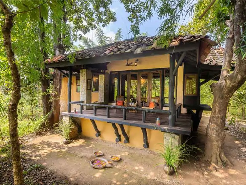 tranquil treehouse escape