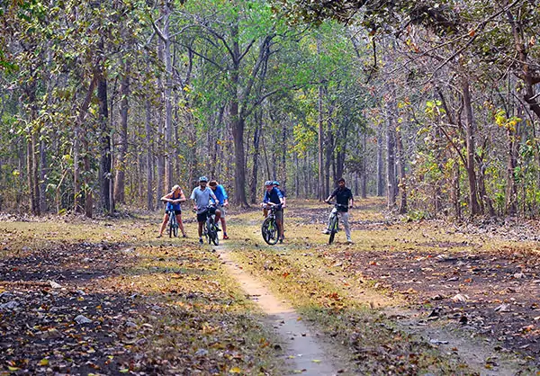cycling tour