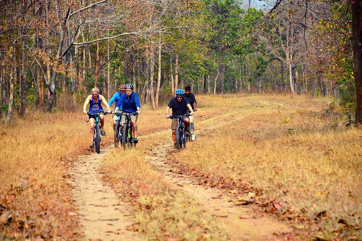 Cycling in Kanha