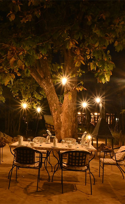 Bush Dinner in Kanha